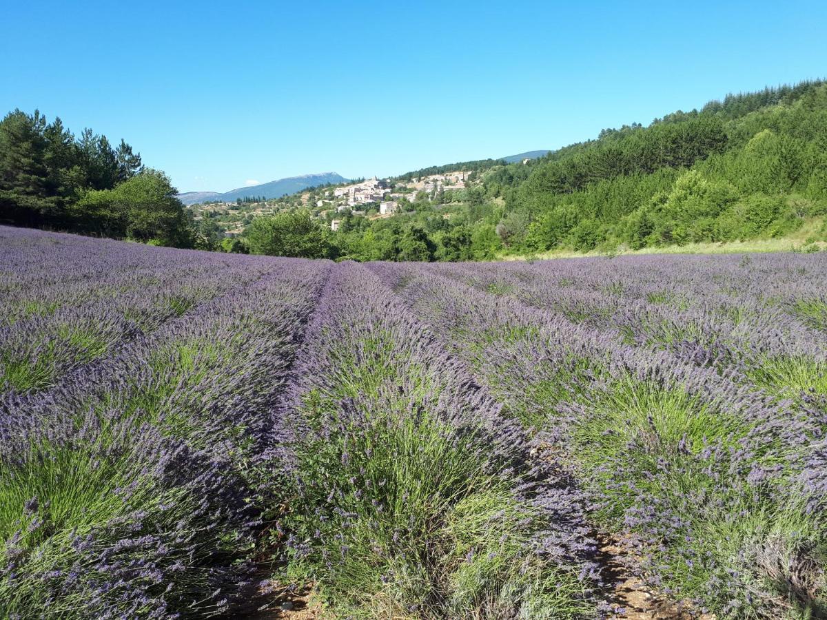 Gite Dentelles Loriol-du-Comtat Εξωτερικό φωτογραφία