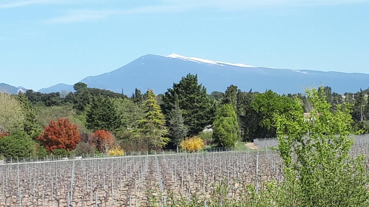 Gite Dentelles Loriol-du-Comtat Εξωτερικό φωτογραφία